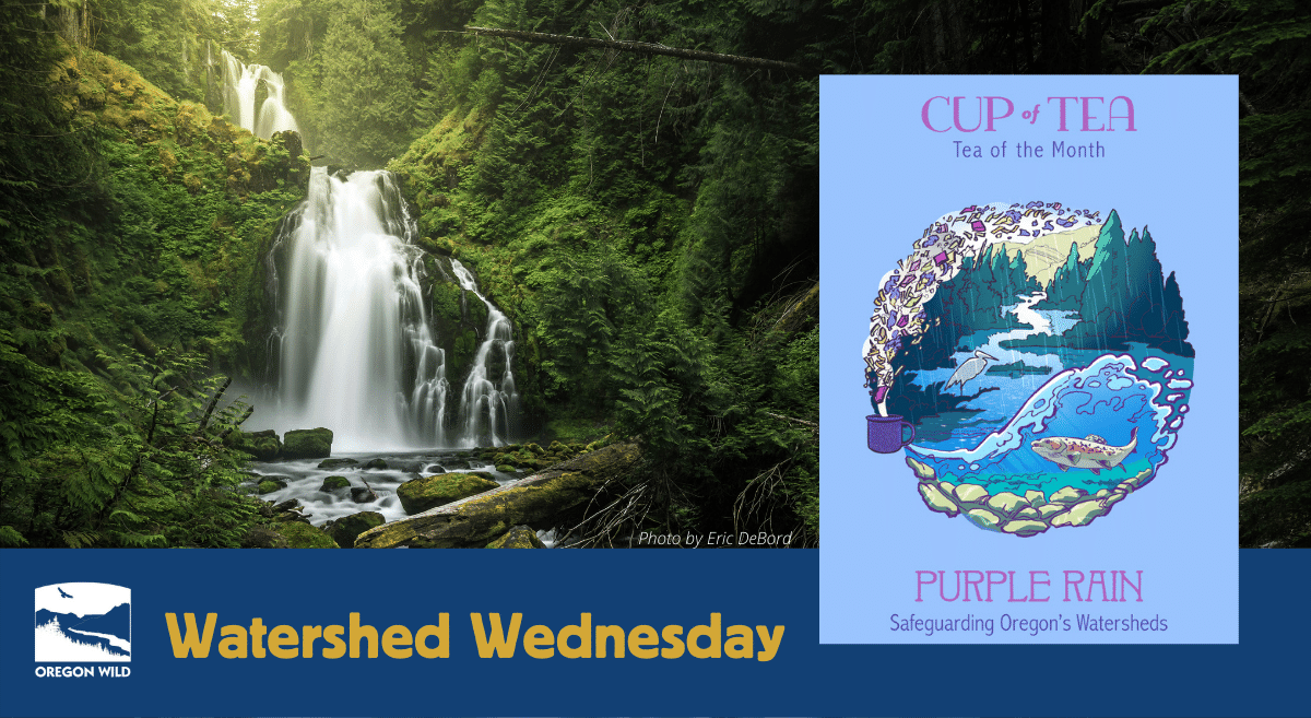 Watershed Wednesday with Cup of Tea - img of a waterfall in a lush green forest by Eric DeBord