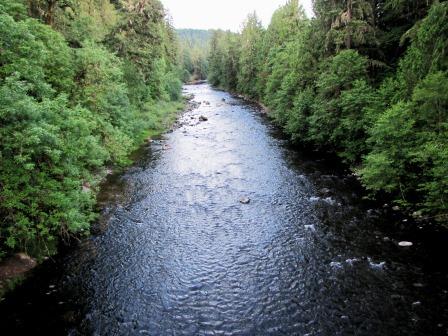 Molalla River winds through tree-lined shores
