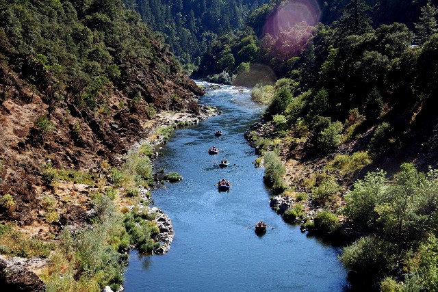 Rogue River by Amy Tweist