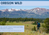Oregon Wild Summer Newsletter 2022 Cover - a woman hikes through a meadow in NE Oregon, forests and mountains in the background