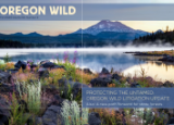 Steam rises of a lake with a mountain in the background and wildflowers between large rocks in the foreground - Text: Oregon Wild Fall 2023 Volume 50 Number 3 Protecting the Untames: Oregon Wild Litigation Update, Also: A new path forward for state forests
